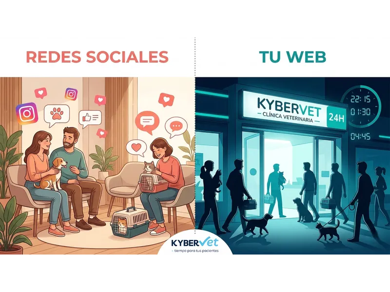Redes sociales vs web: cada herramienta en su sitio