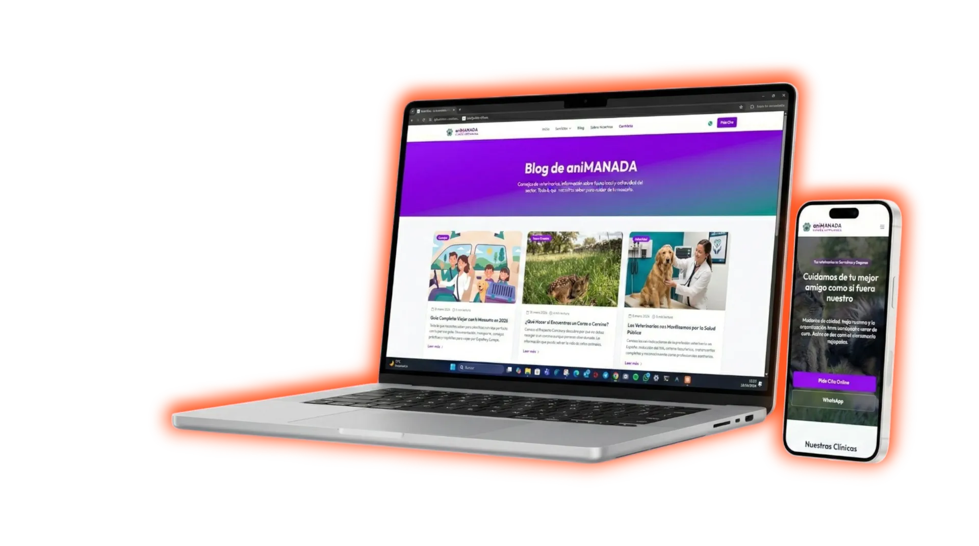 Webs veterinarias profesionales